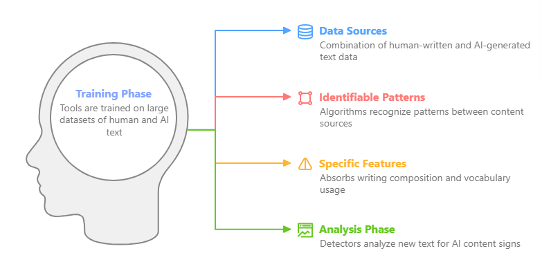 AI Text Detection Training