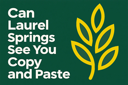 can aurel springs see you copy and paste