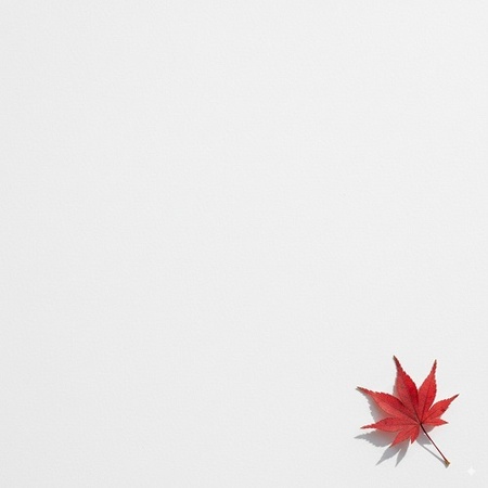 clean minimalist backgrounds