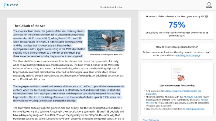 Does Turnitin Detect Images