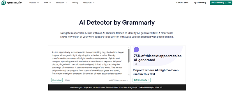 grammarly user interface