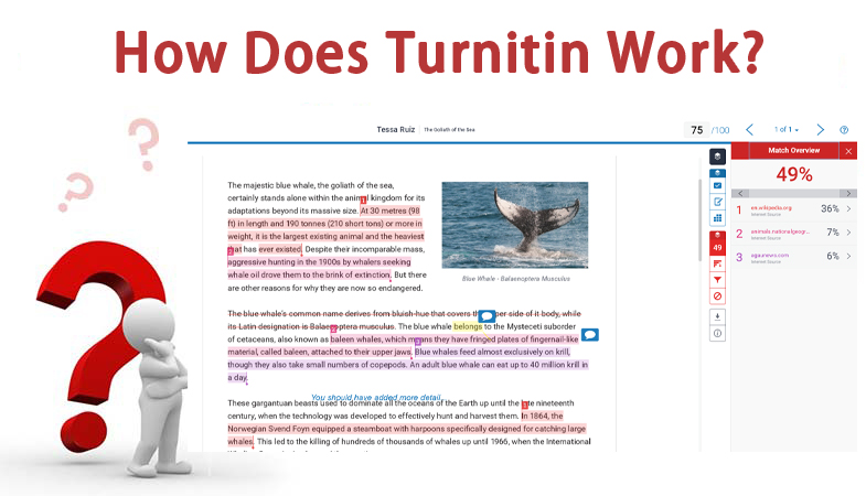 how does turntin work