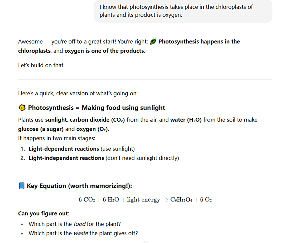 how photosynthesis works