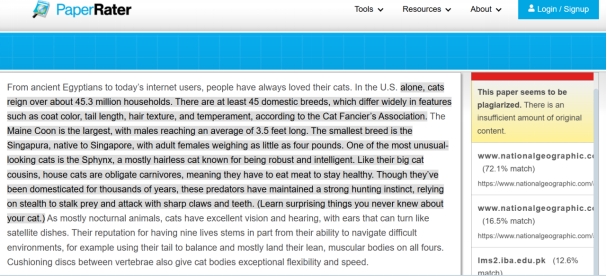 [2024 Review] PaperRater: Is It Worthy For Checking Plagiarism?