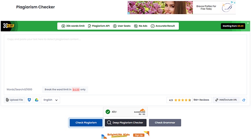smallseotools plagiarism checker interface