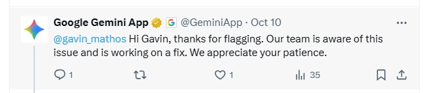 something went wrong gemini official reply twitter