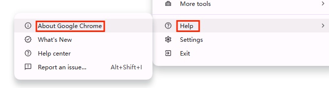 turn on google update