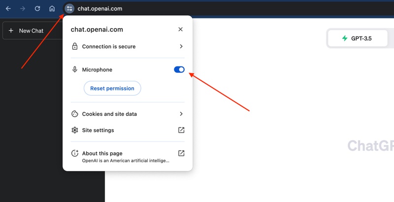verify browser permissions