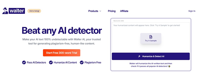 walter writes ai