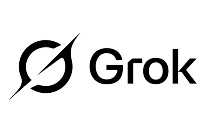 grok overview