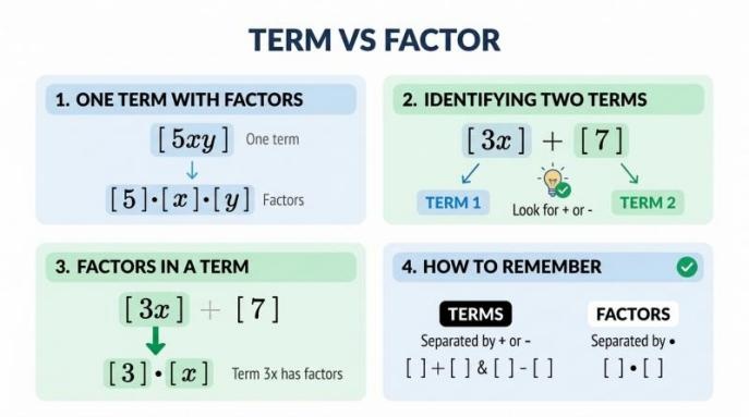 Term vs Factor