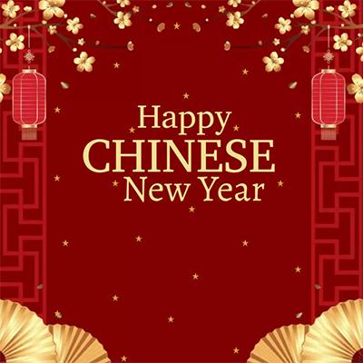 Chinese New Year Instagram Caption image
