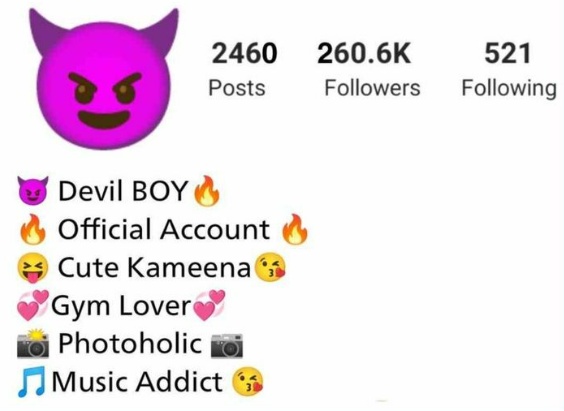 devil bio for instagram for boy