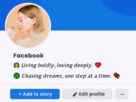 Savage Attitude Bio for Facebook
