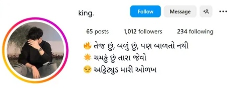 instagram bio for boys in gujarati
