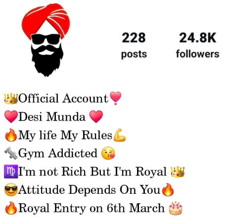 instagram bio for boys in punjabi