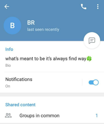 Telegram Bio in Amharic