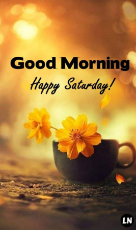good morning for monday