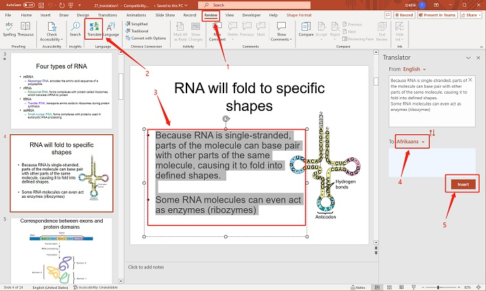 use translate in ppt
