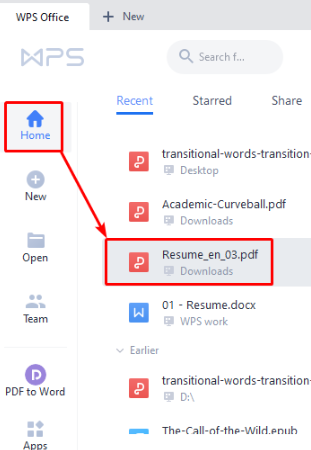 convert pdf to word on iphone with wps
